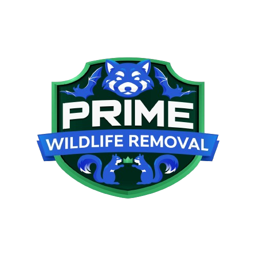 Flushing Wildlife Removal